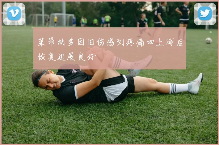 莱昂纳多因旧伤感到疼痛回上海后恢复进展良好