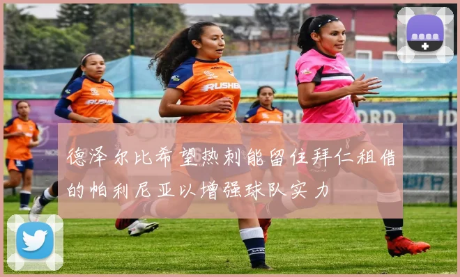 德泽尔比希望热刺能留住拜仁租借的帕利尼亚以增强球队实力